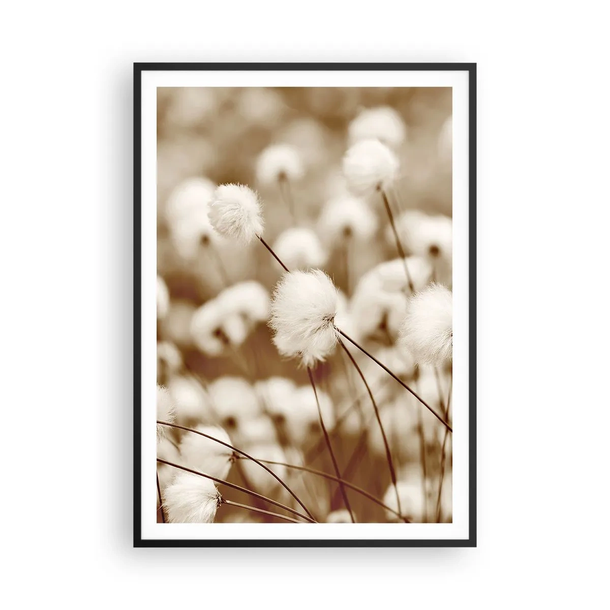 Affisch i svart ram - Fluffig åkermark - 70x100 cm