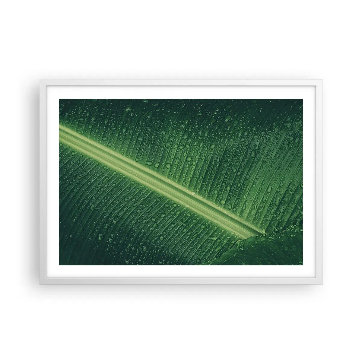 Affisch i vit ram - Grönskans struktur - 70x50 cm