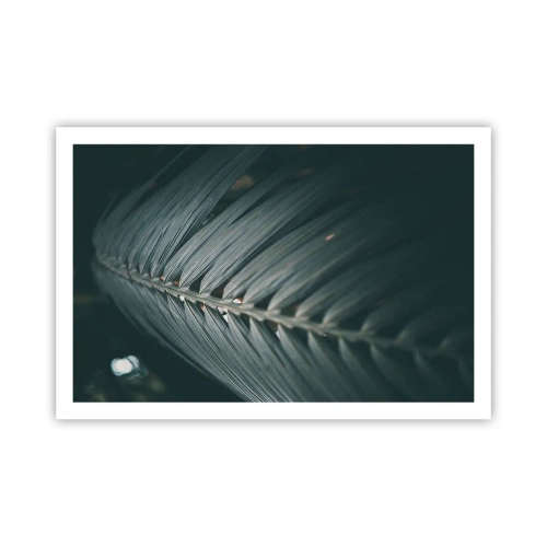 Affisch - Naturens precision - 91x61 cm