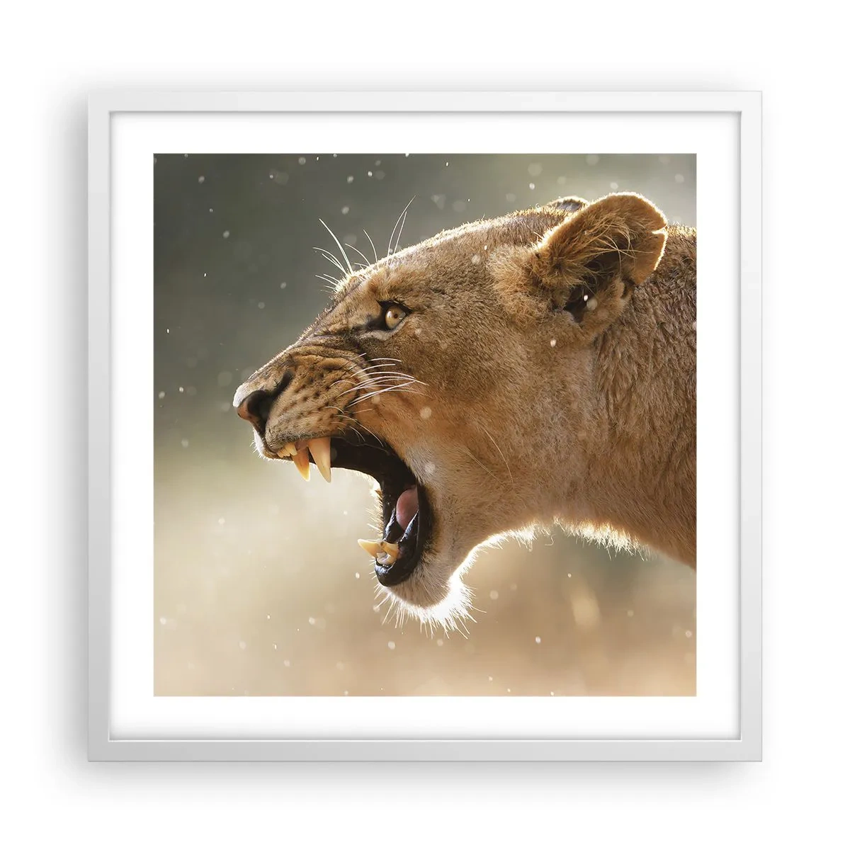 Affisch i vit ram - Försök att inte lyssna - 50x50 cm