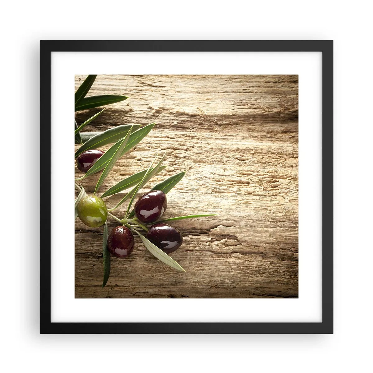 Affisch i svart ram - Direkt från naturen - 40x40 cm