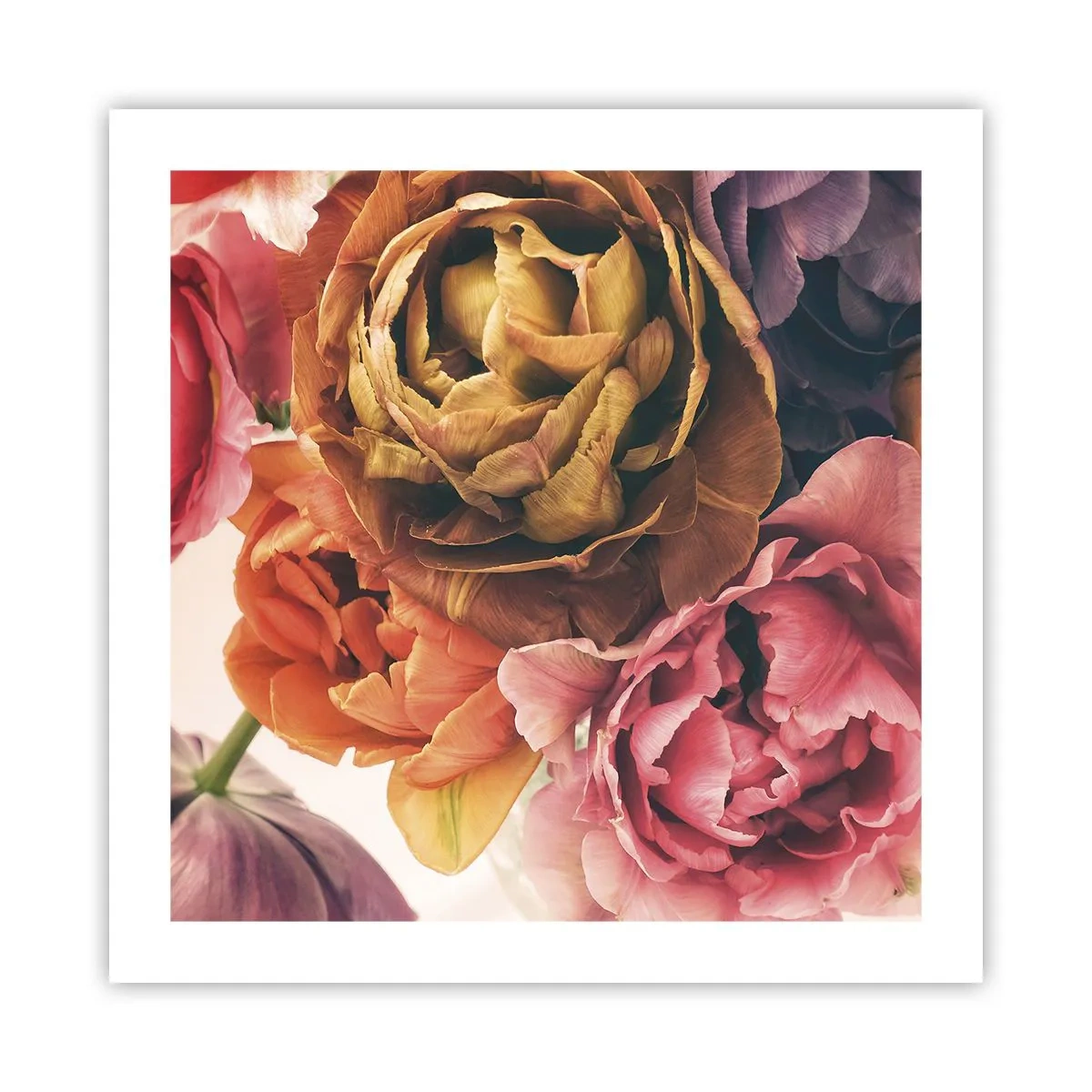 Affisch - Livets högtid - 50x50 cm