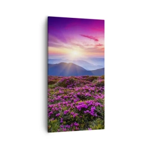 Canvastavla - Bild på duk - Doftande örter - 55x100 cm