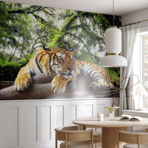 Fototapet Premium Canvas - Med vänlig hälsning - Tiger, Djur, Rovdjur - 400x280 cm