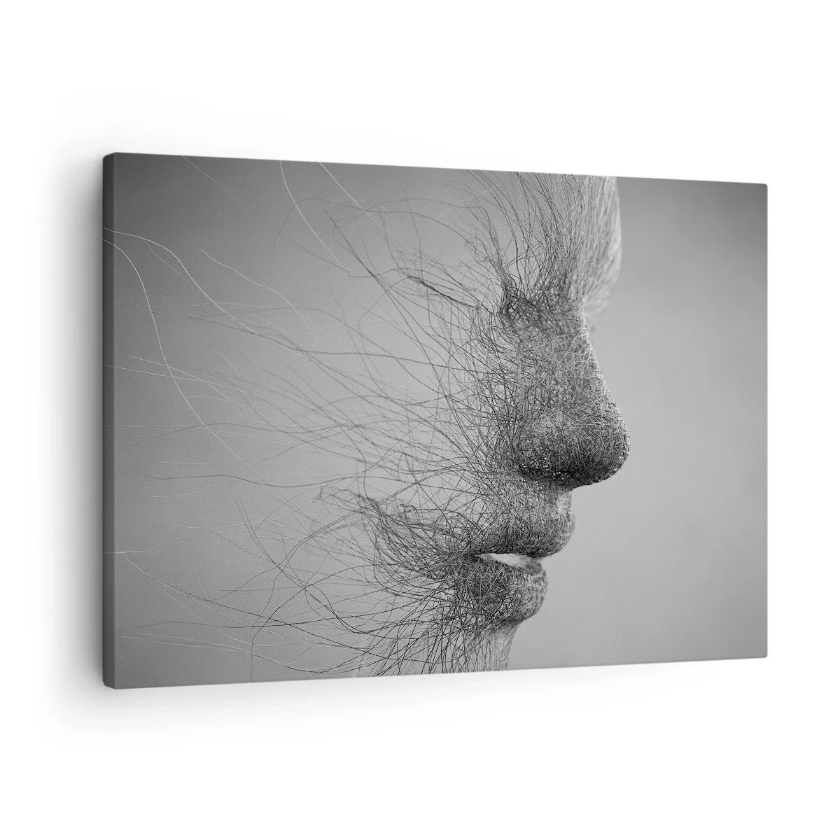 Canvastavla - Bild på duk - Konstnärlig ansiktsprofil skapad med fina linjer - 70x50cm - Vindens ande - Modern väggdekoration för vardagsrum och sovrum ARTTOR