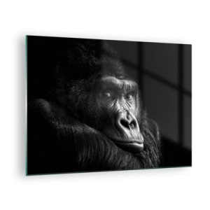 Glastavla - Bild på glas - Svartvitt porträtt av en gorilla i skuggan av ett fönster - 70x50cm - Varför glor du? - Modern väggdekoration för vardagsrum och sovrum ARTTOR