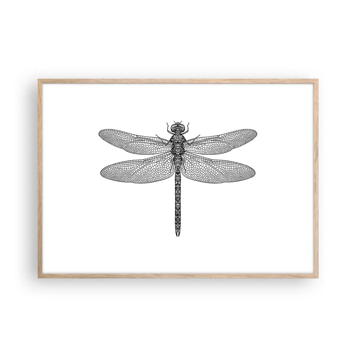 Affisch i ram av ljusek - Precision i naturen - 100x70 cm