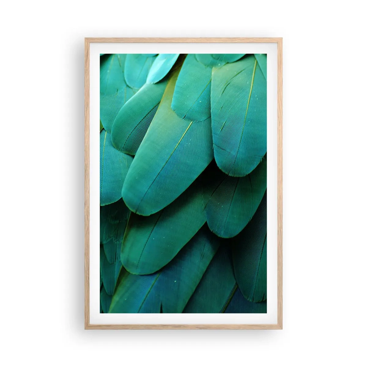 Affisch i ram av ljusek - Precision av papegojans natur - 61x91 cm