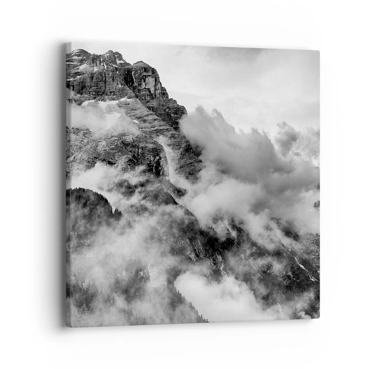 Canvastavla - Bild på duk - Vackra och grymma - 40x40 cm