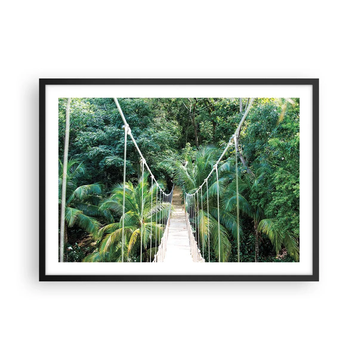 Affisch i svart ram - Welcome to the jungle! - 70x50 cm
