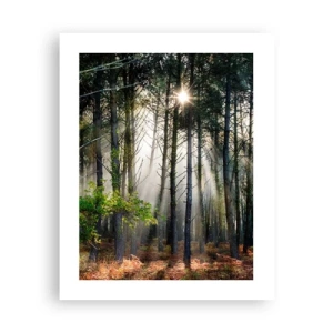 Affisch - Skogens skönhet - 40x50 cm