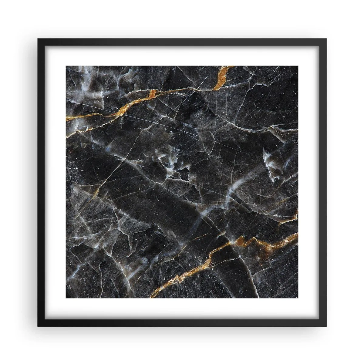 Affisch i svart ram - Stenens interna liv - 50x50 cm