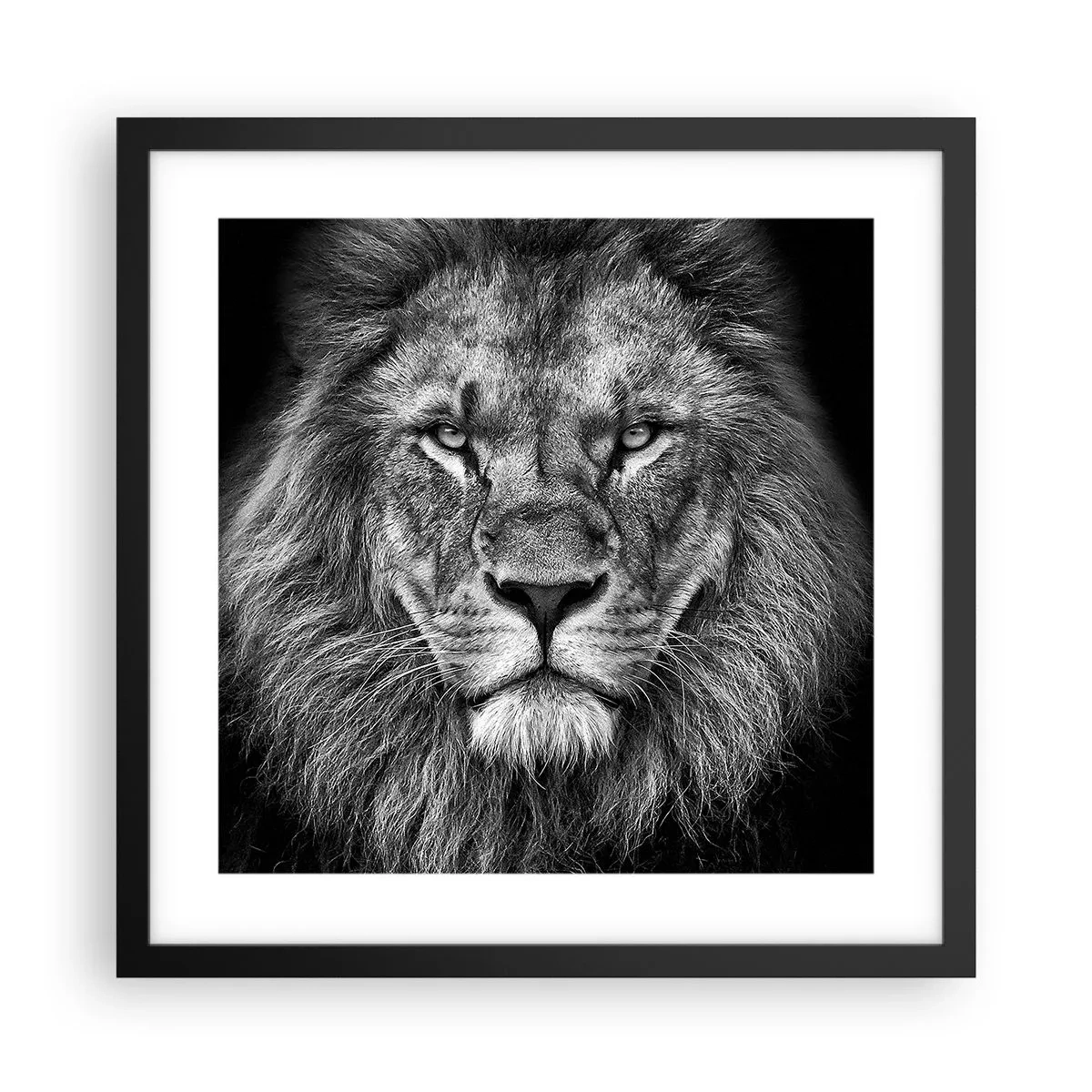 Affisch i svart ram - I kröningskläder - 40x40 cm