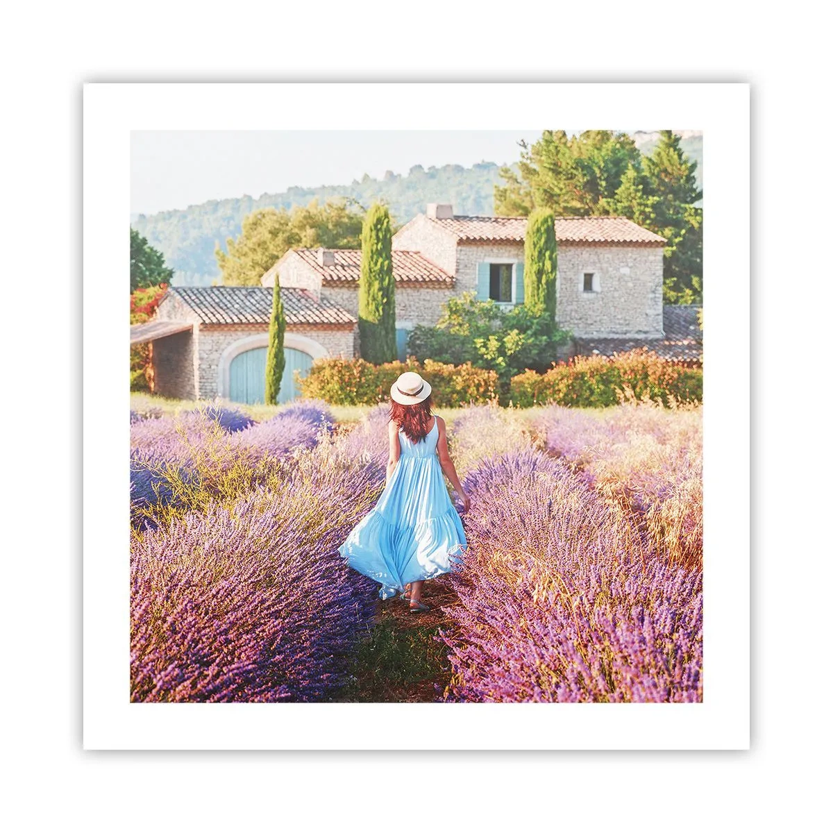 Affisch - Lavendelflicka - 50x50 cm
