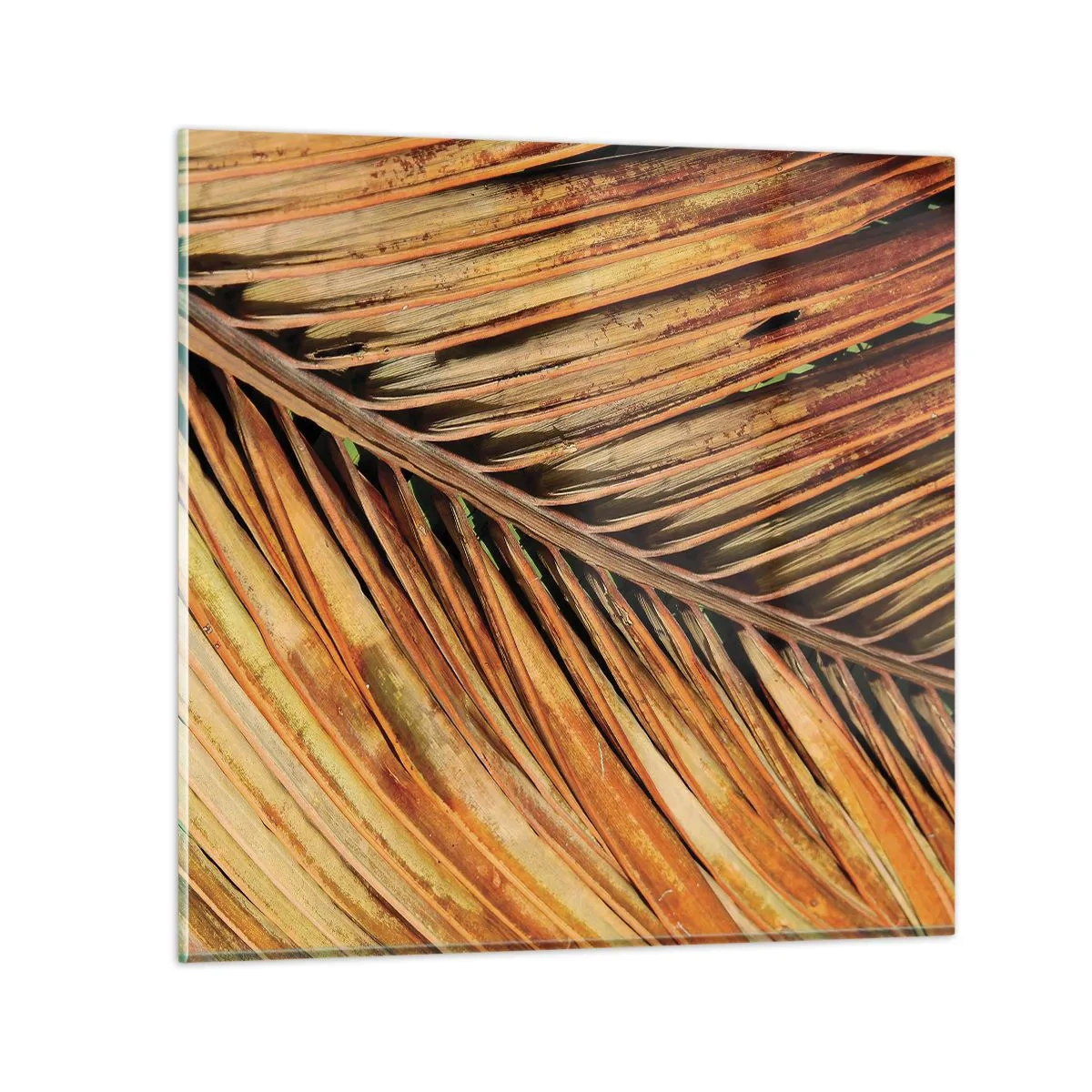 Glastavla - Bild på glas - Kokosguld - 60x60 cm