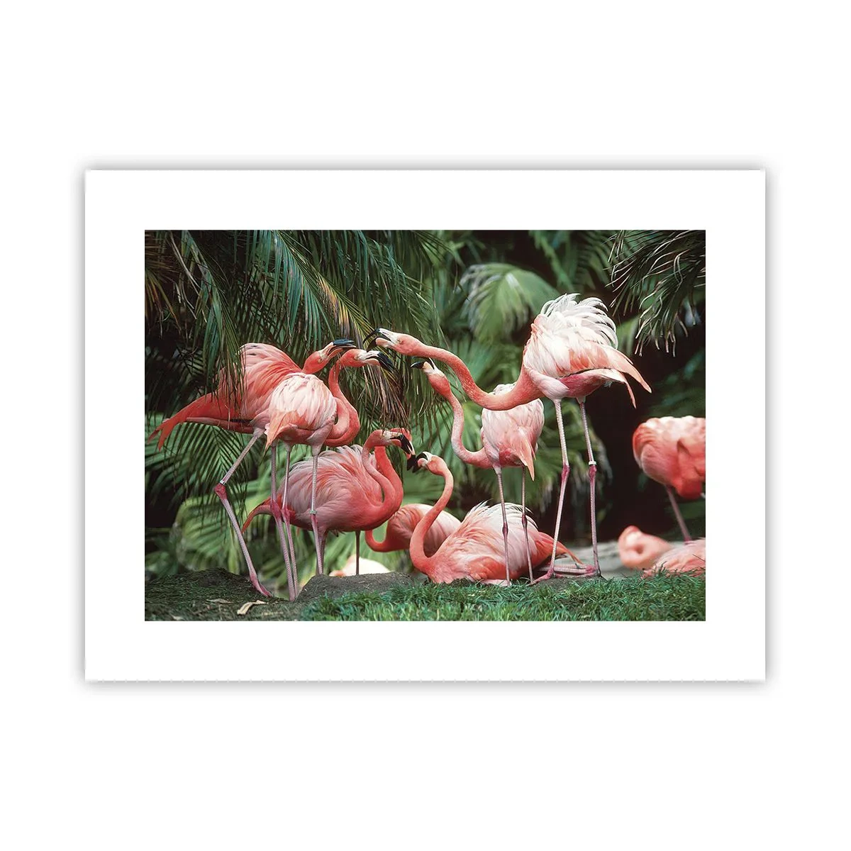 Affisch - Eftermiddags skvaller - 40x30 cm