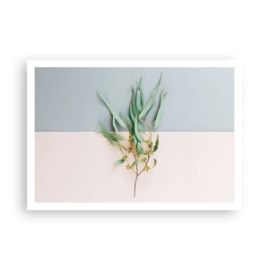 Affisch - Pastellens subtilitet - 100x70 cm