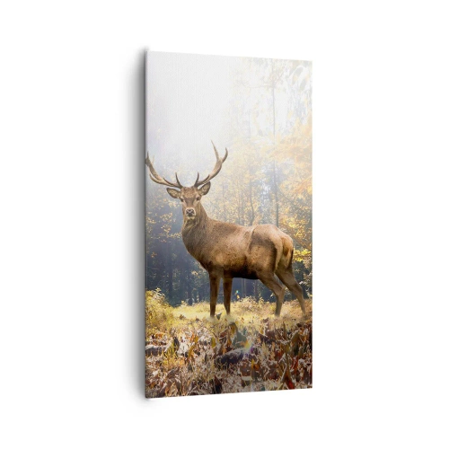 Canvastavla - Bild på duk - I fullt majestät - 65x120 cm