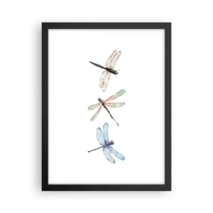 Affisch i svart ram - Viktlösa trollsländor - 30x40 cm