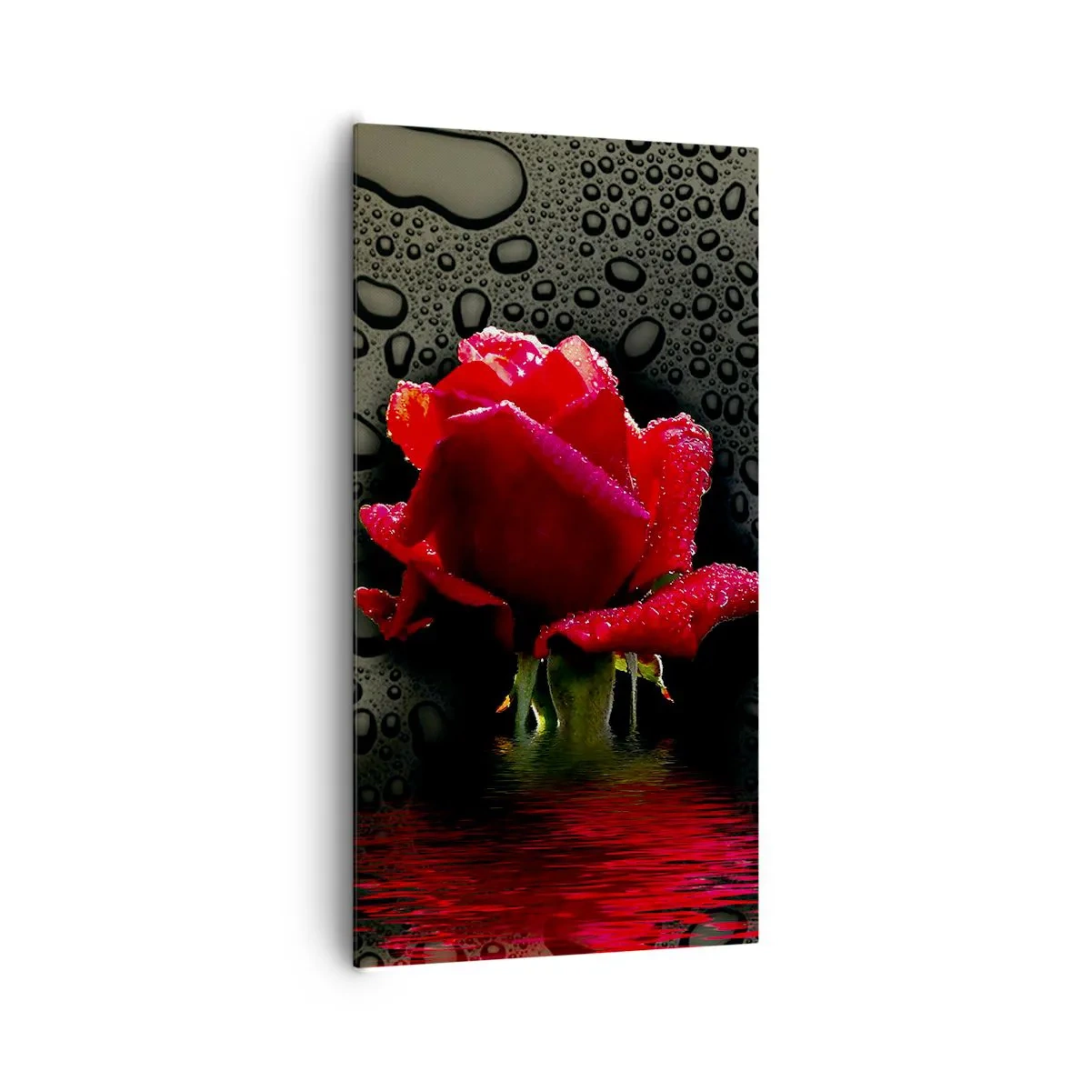 Canvastavla - Bild på duk - Röd och svart - 65x120 cm