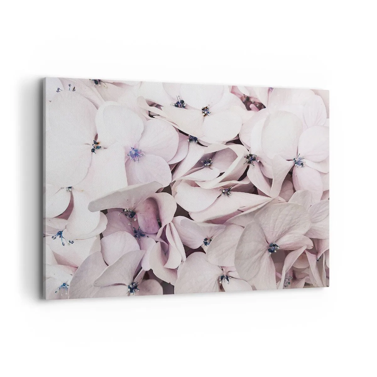 Canvastavla - Bild på duk - I en flod av blommor - 100x70 cm