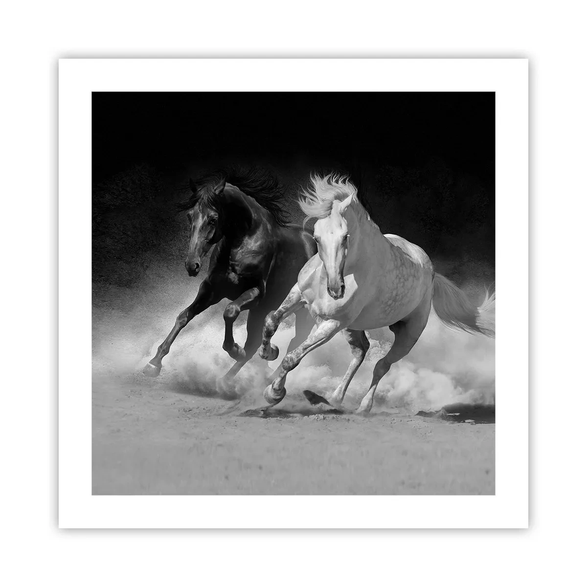 Affisch - Frihetens galopp - 50x50 cm