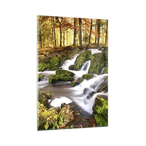 Glastavla - Bild på glas - Kvickt genom höstskogen - 80x120 cm