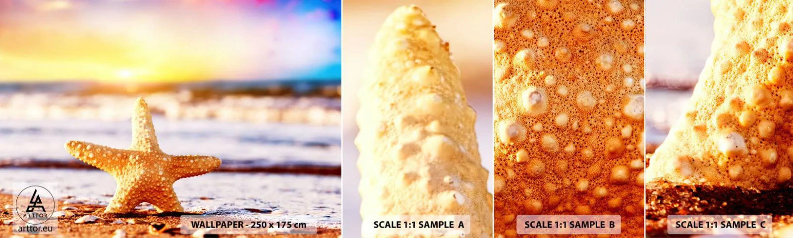 Provbit av självhäftande fototapet Deluxe Sticker - Havsgåva - Sjöstjärna, Strand, Hav - 100x30 cm