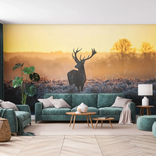 Självhäftande Fototapet Deluxe Sticker - Krönt på sin mark - Landskap, Djur, Rådjur - 150x105 cm