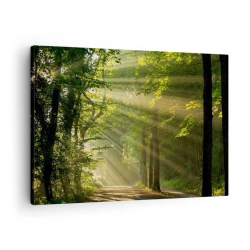 Canvastavla - Bild på duk - Skogsstig med solstrålar som skiner genom träden - 70x50cm - En stund i skogen - Modern väggdekoration för vardagsrum och sovrum ARTTOR