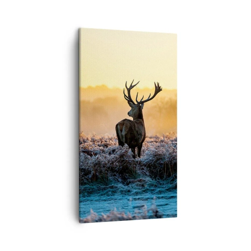 Canvastavla - Bild på duk - Krönt på sin mark - 45x80 cm