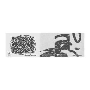 Provbit av fototapet Premium Canvas - Abstraktion: en dans av glädje - Boho, Svartvitt, Minimalism - 100x30 cm