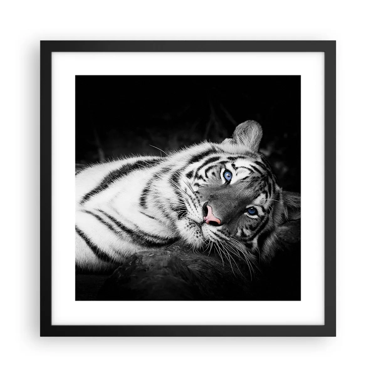 Affisch i svart ram - Vildhet och lugn - 40x40 cm
