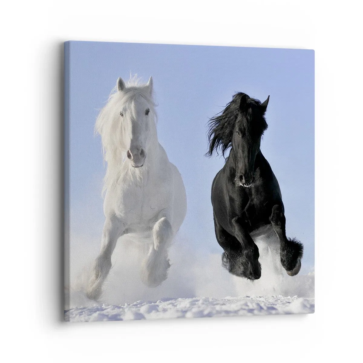 Canvastavla - Bild på duk - Svart-vit galopp - 30x30 cm