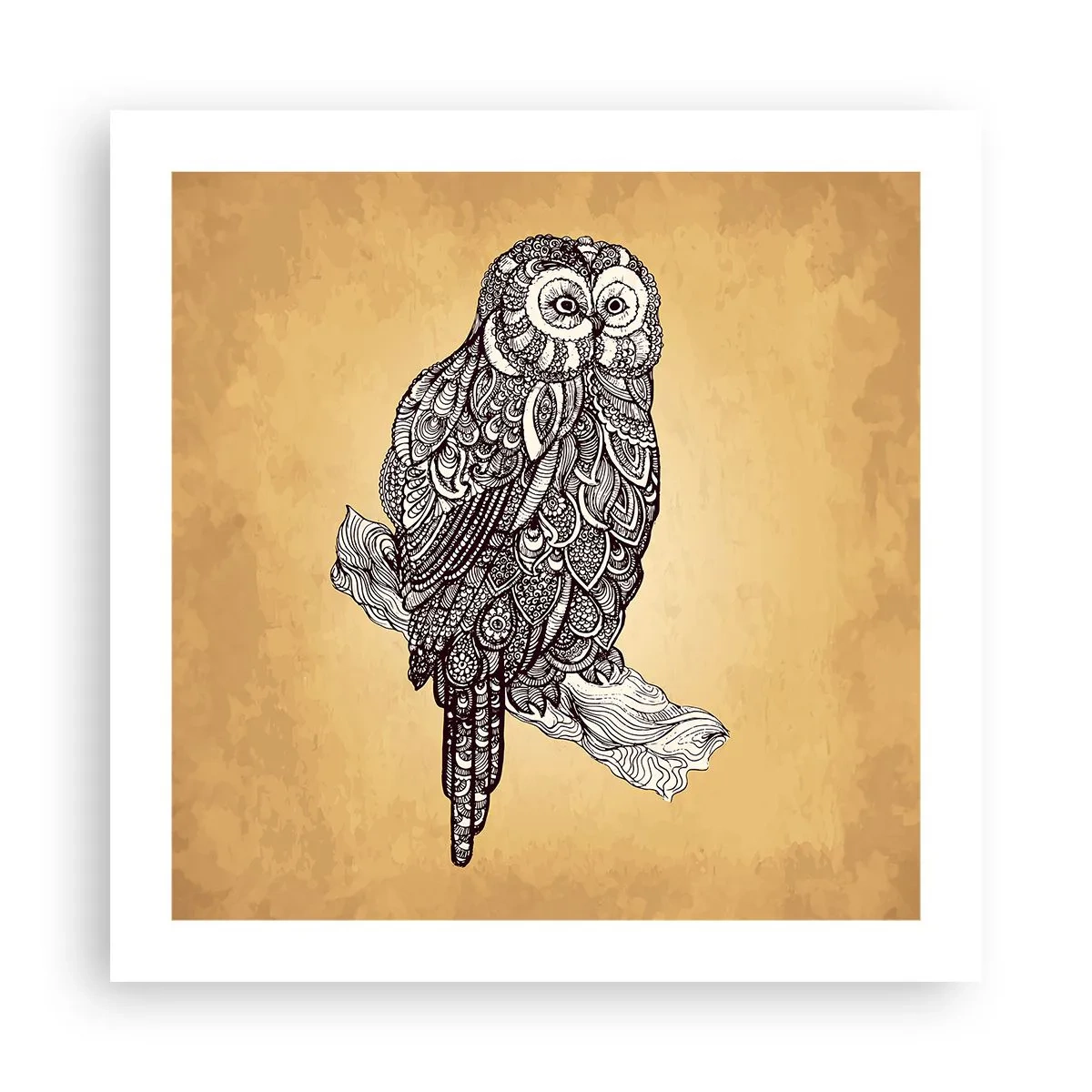 Affisch - Invecklade ornament av visdom - 50x50 cm