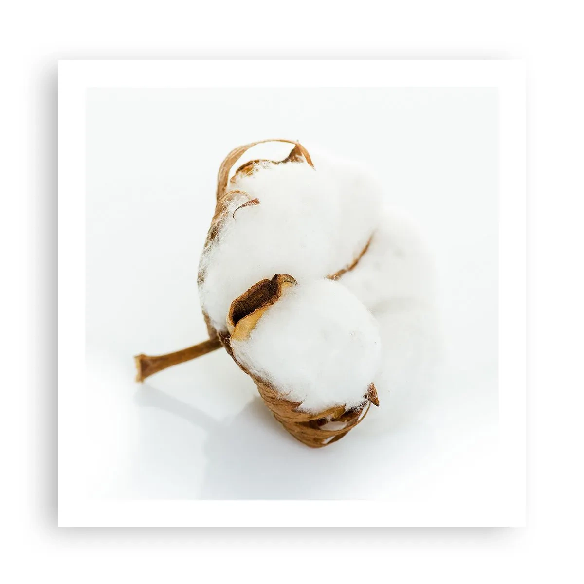 Affisch - Mjuk av naturen - 60x60 cm