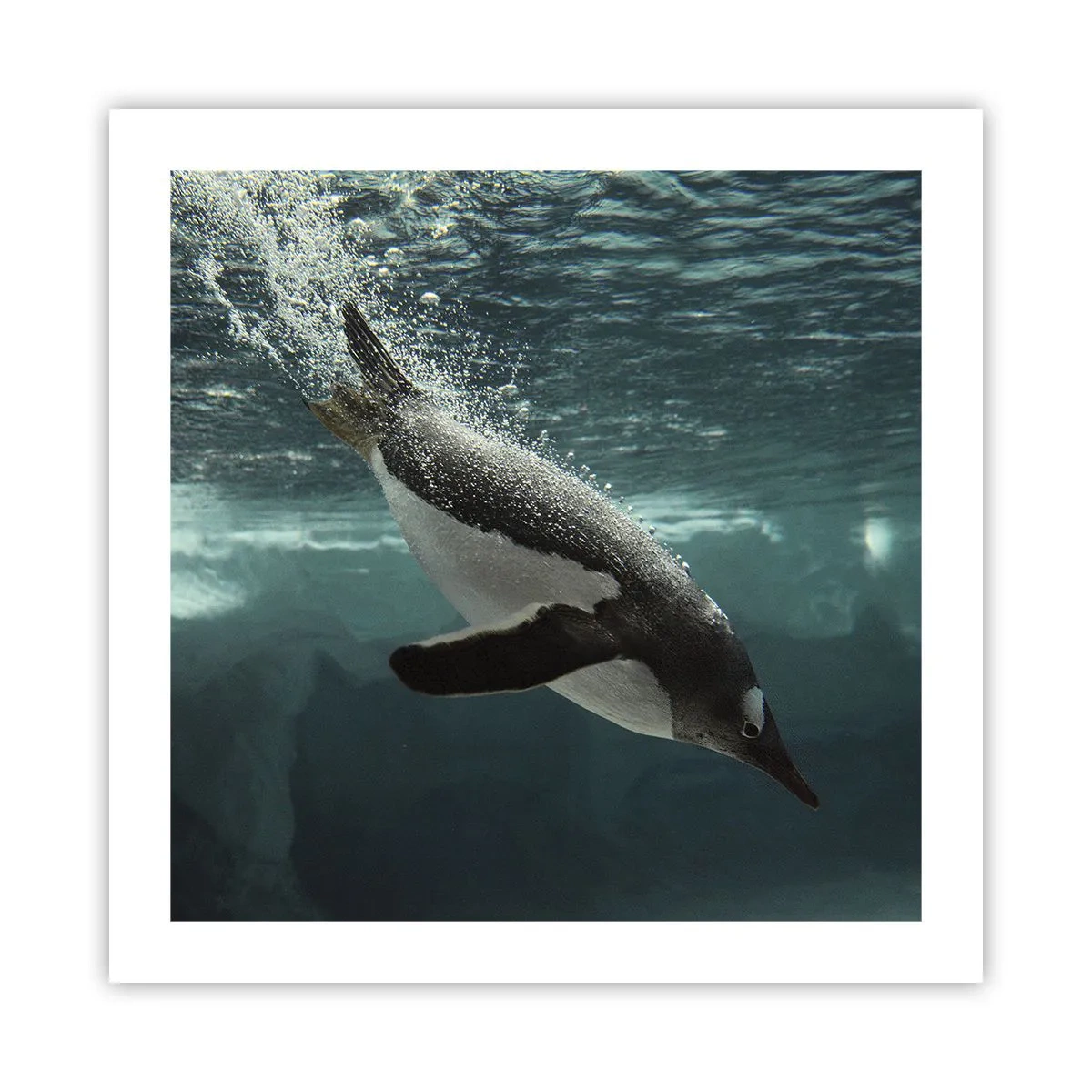 Affisch - Välkommen till min värld - 50x50 cm