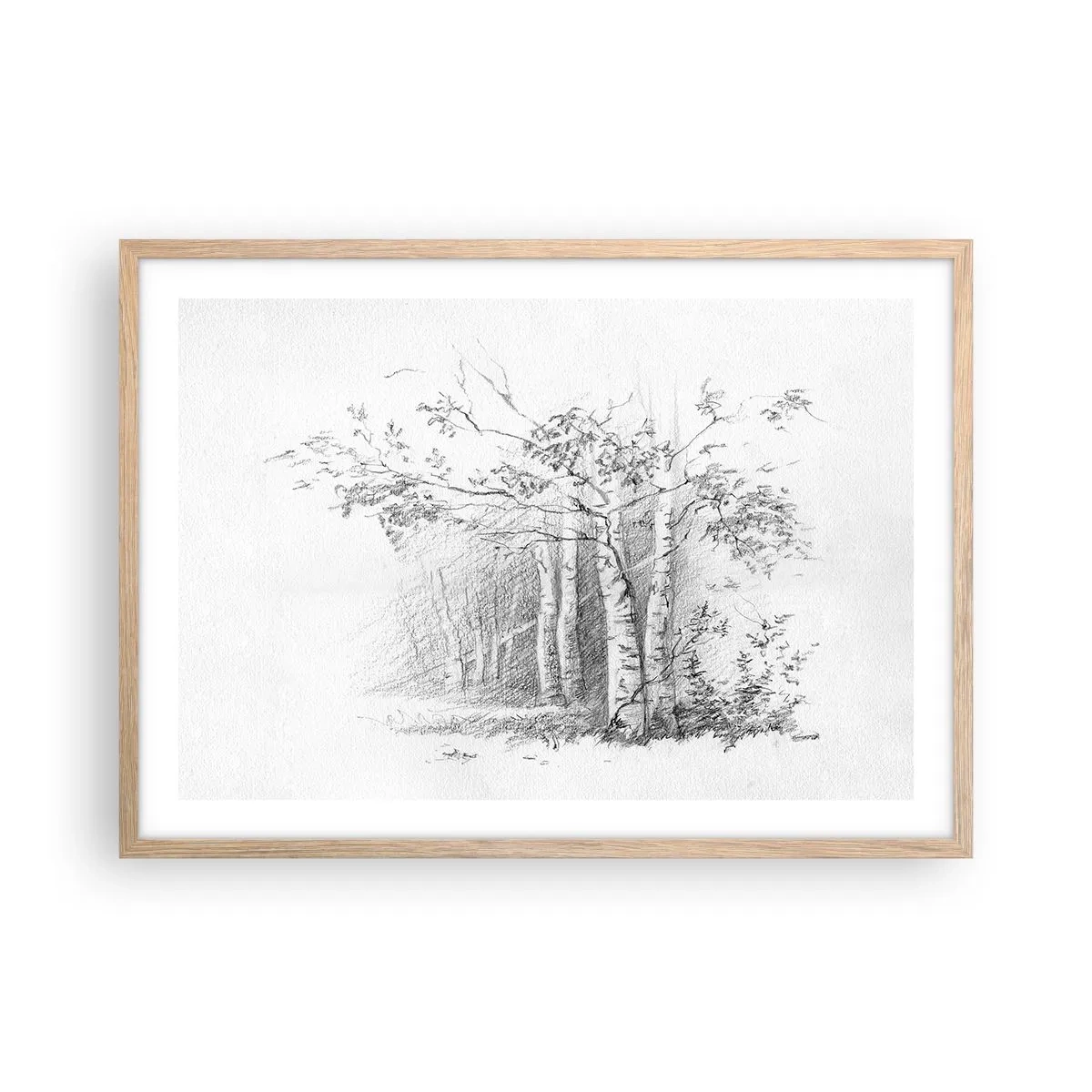 Affisch i ram av ljusek - Björkskogens ljus - 70x50 cm