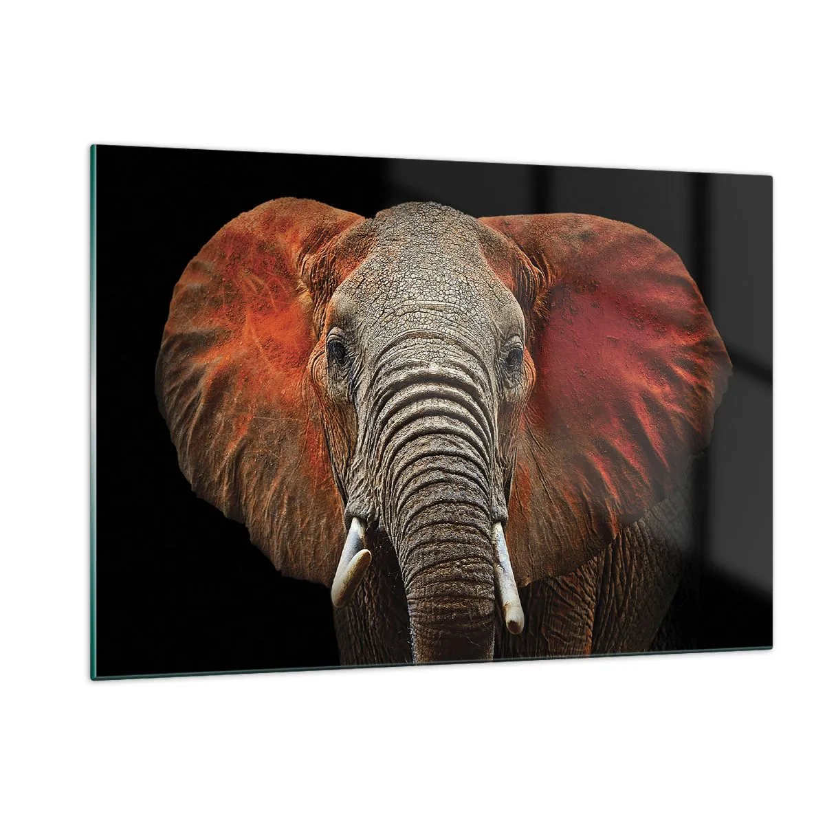 Glastavla - Bild på glas - Jag är vild, och du? - 120x80 cm