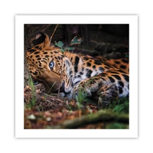 Affisch - Tro mig - 50x50 cm