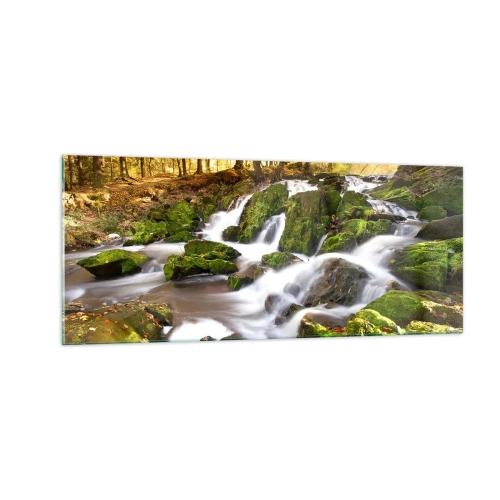 Glastavla - Bild på glas - Kvickt genom höstskogen - 100x40 cm