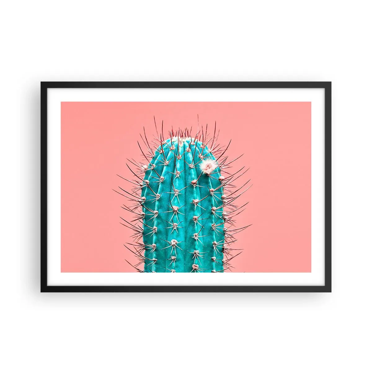 Affisch i svart ram - Titta bara - 70x50 cm