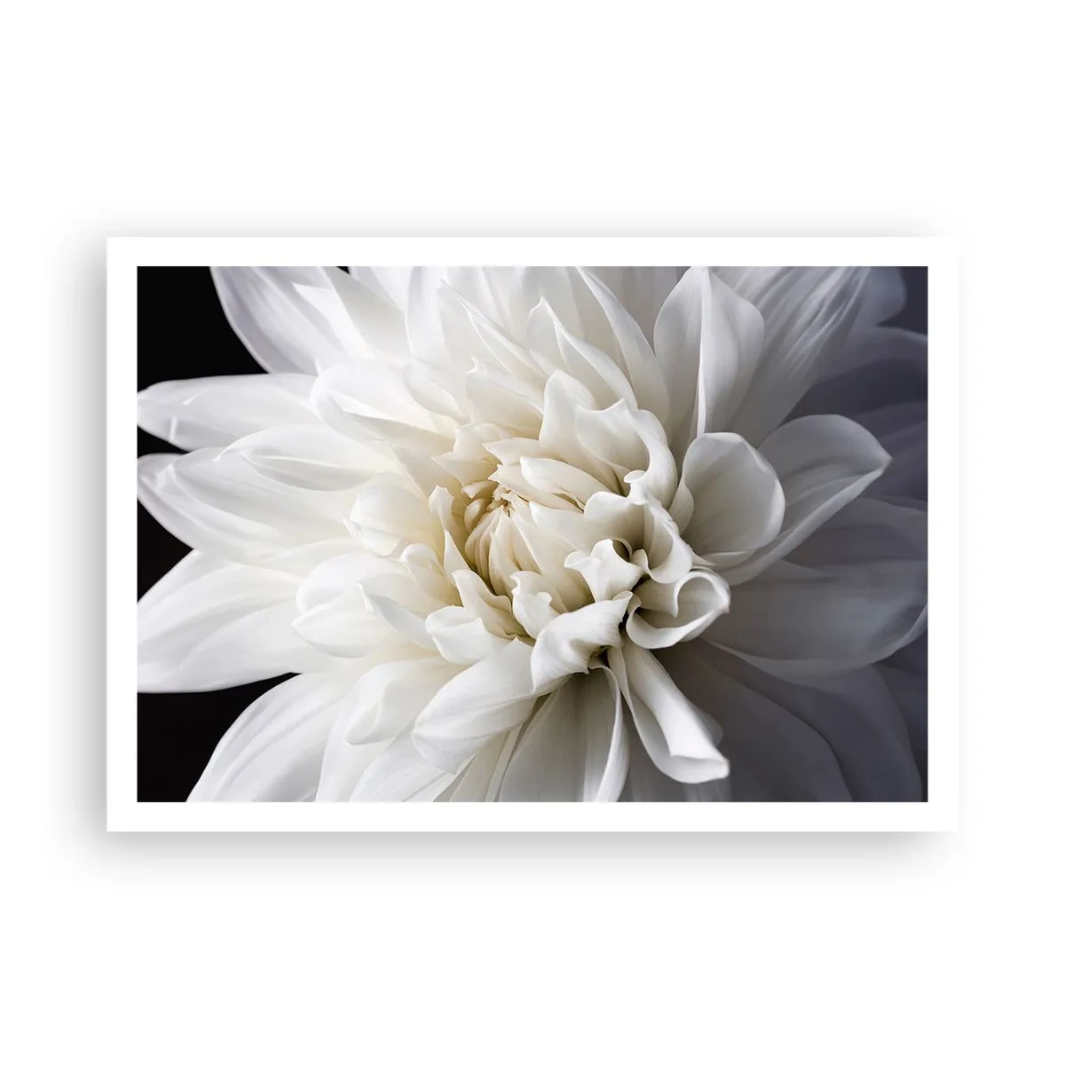 Affisch - En bruds morgon - 100x70 cm