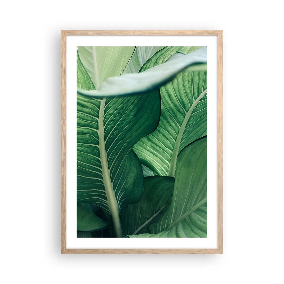 Affisch i ram av ljusek - Livet intensivt grönt - 50x70 cm