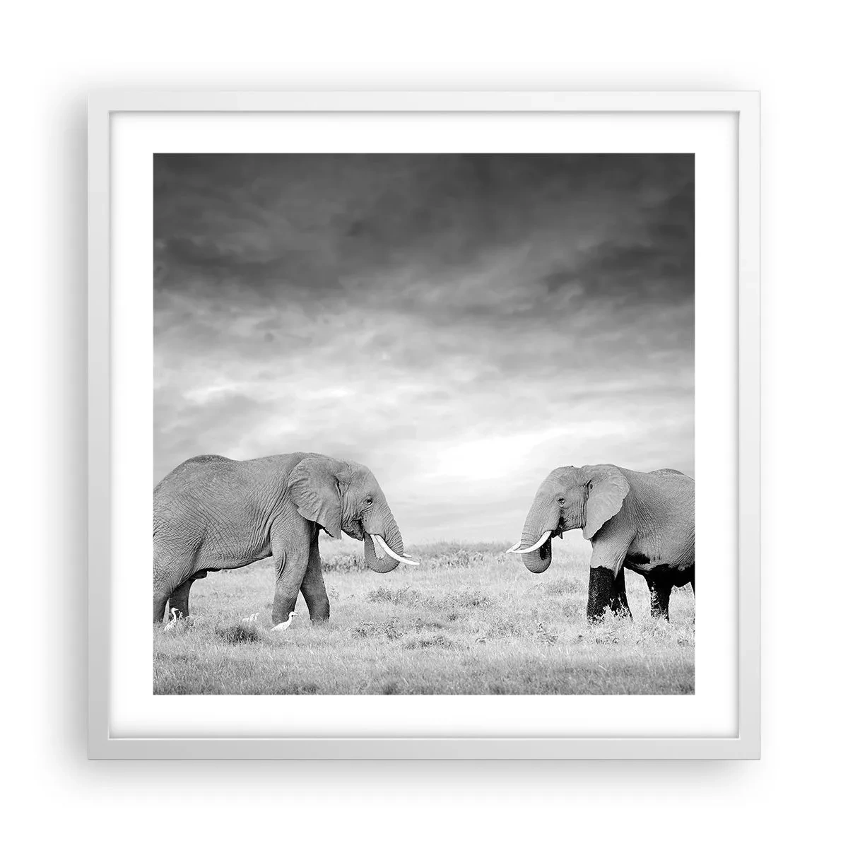 Affisch i vit ram - Grått är vackert - 50x50 cm