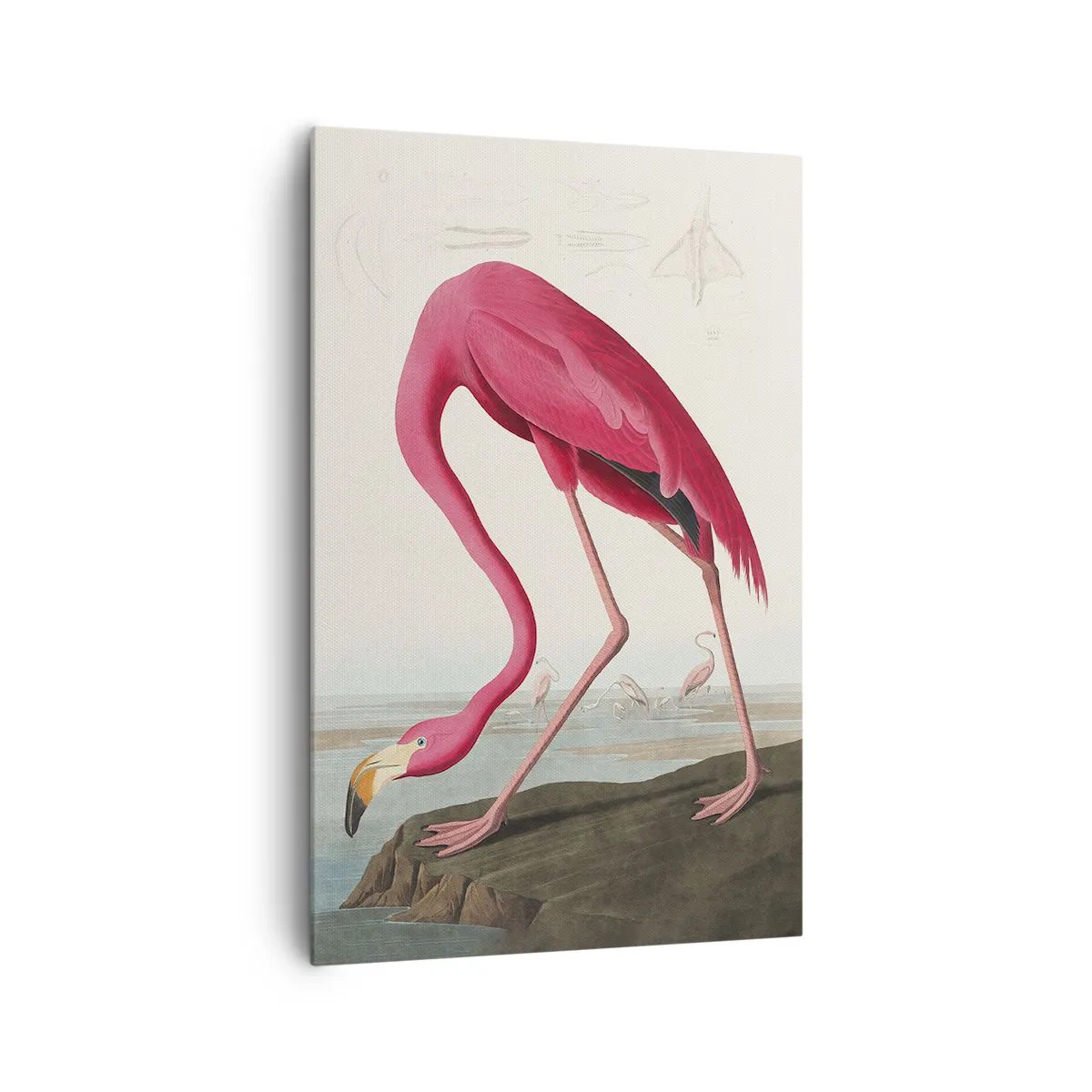 Canvastavla - Bild på duk - Underlig varelse - 80x120 cm