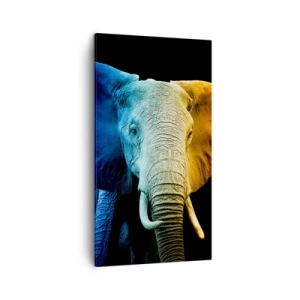 Canvastavla - Bild på duk - Excentriker, ej kuf - 45x80 cm