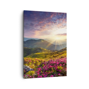 Canvastavla - Bild på duk - Fjällmorgonens fräschhet - 50x70 cm