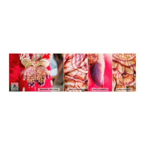 Provbit av självhäftande fototapet Deluxe Sticker - Redo att fånga lyckan - Kvinnors händer, Orientalisk design, Indien - 100x30 cm