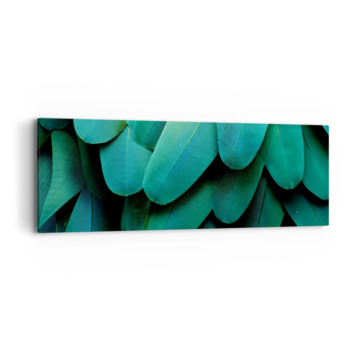 Canvastavla - Bild på duk - Precision av papegojans natur - 90x30 cm